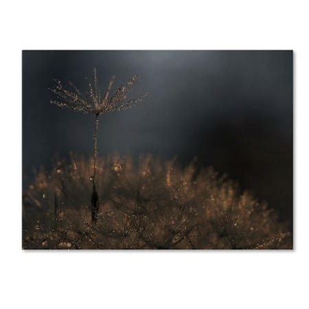 Trademark Fine Art Thierry Dufour 'Standing Toward The Light' Canvas Art, 14x19 1X01098-C1419GG